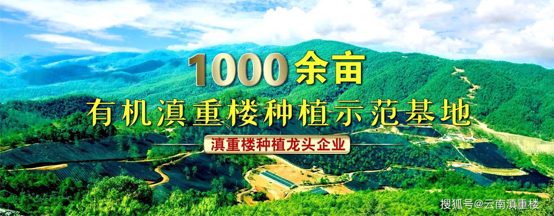 吾和草本科技